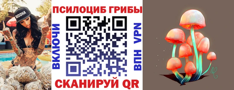Псилоцибиновые грибы ЛСД  Купить закладки  Лодейное Поле 